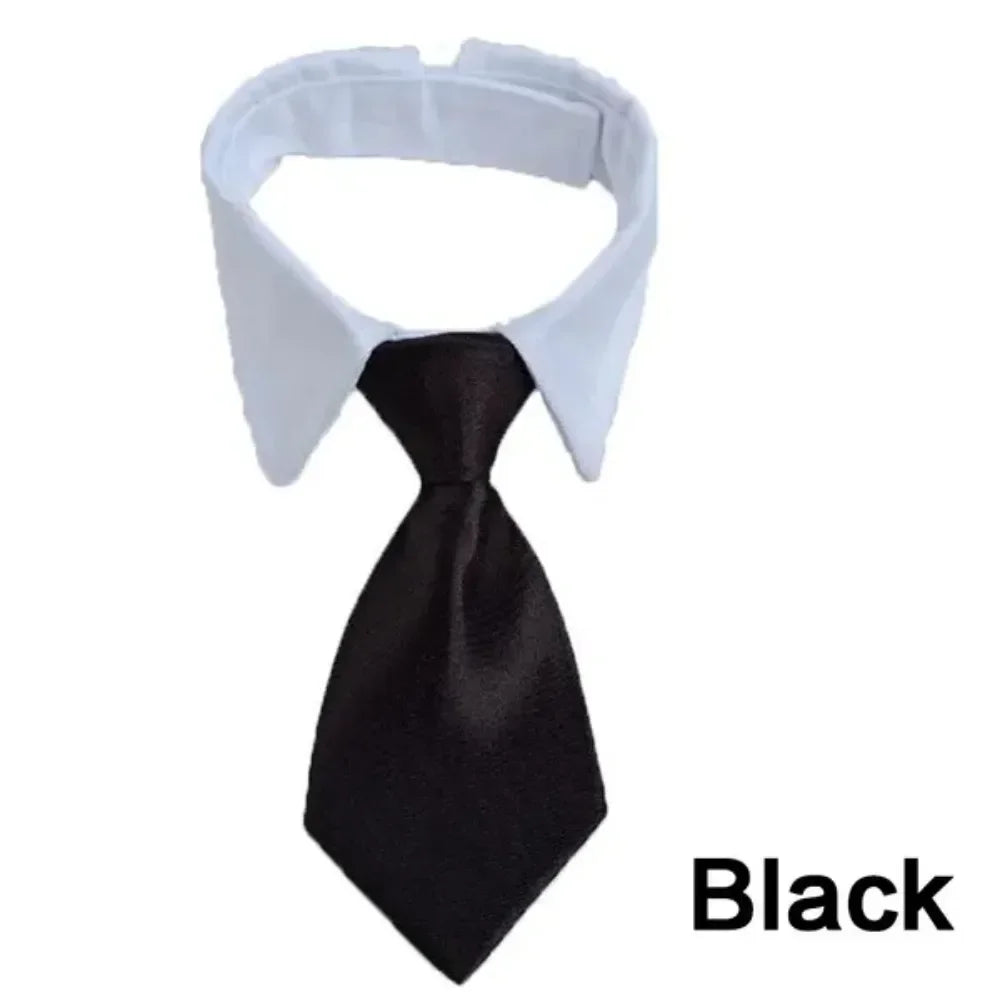 Adjustable Pet Collar & Necktie