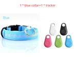 Blue LED dog collar beside five tracker colour options