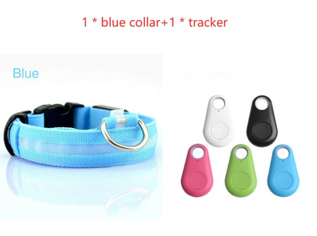 Blue LED dog collar beside five tracker colour options