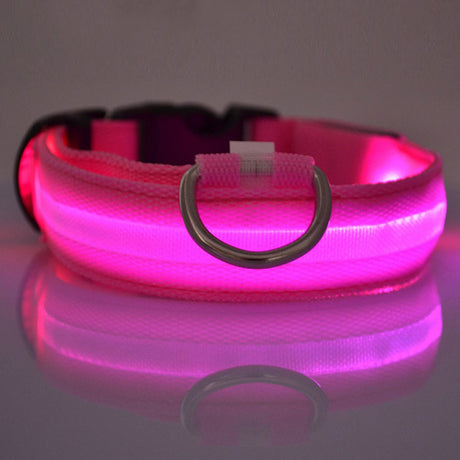 Pink LED dog collar glowing on a reflective surface with metal ring