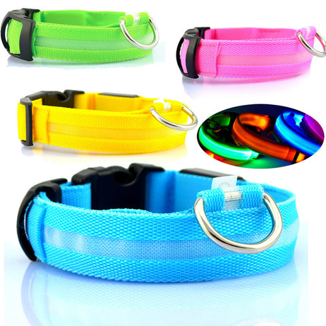 LED dog collars in green, pink, yellow and blue with black buckles