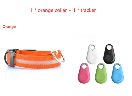 Orange LED dog collar beside five tracker colour options