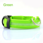 Green LED dog collar side view with black buckle and metal ring