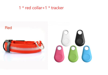 Red LED dog collar beside five tracker colour options