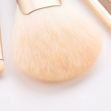 Close-up of a large brush head with pale bristles and gold ferrule