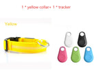 Yellow LED dog collar beside five tracker colour options