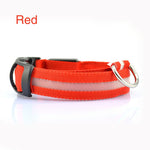 Red LED dog collar side view with black buckle and metal ring