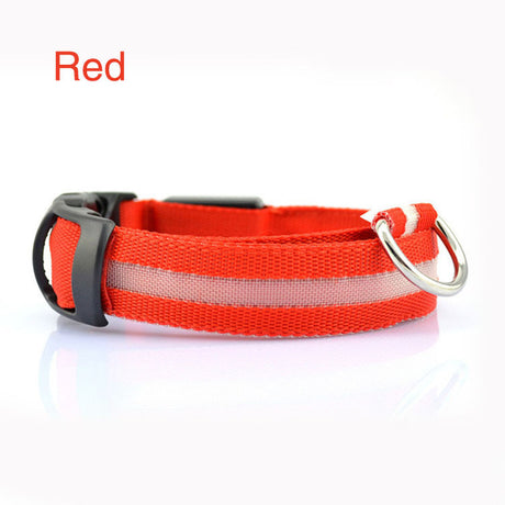 Red LED dog collar side view with black buckle and metal ring