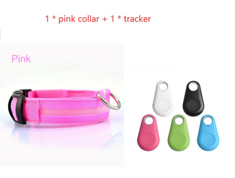 Pink LED dog collar beside five tracker colour options