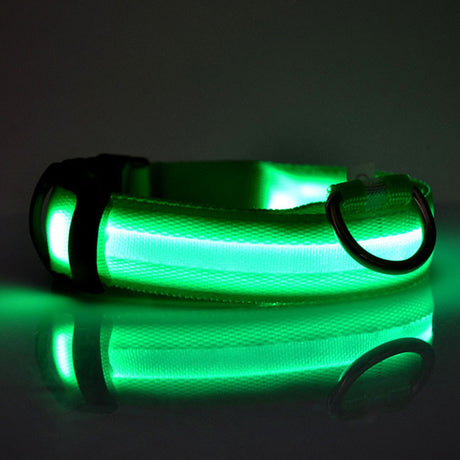 Green LED dog collar glowing on a dark reflective surface
