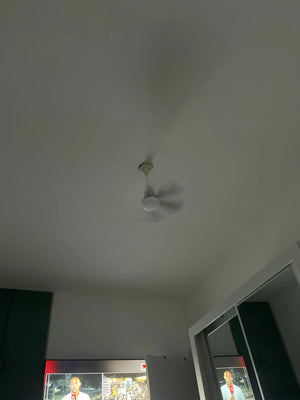 A9e188aa52d204473851f97bf5273eb702.jpg