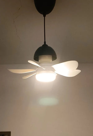 Aa14ebc1d269e4fbd8722a8737c090c094.jpg