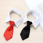 Adjustable Pet Collar & Necktie