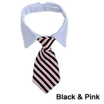 Adjustable Pet Collar & Necktie
