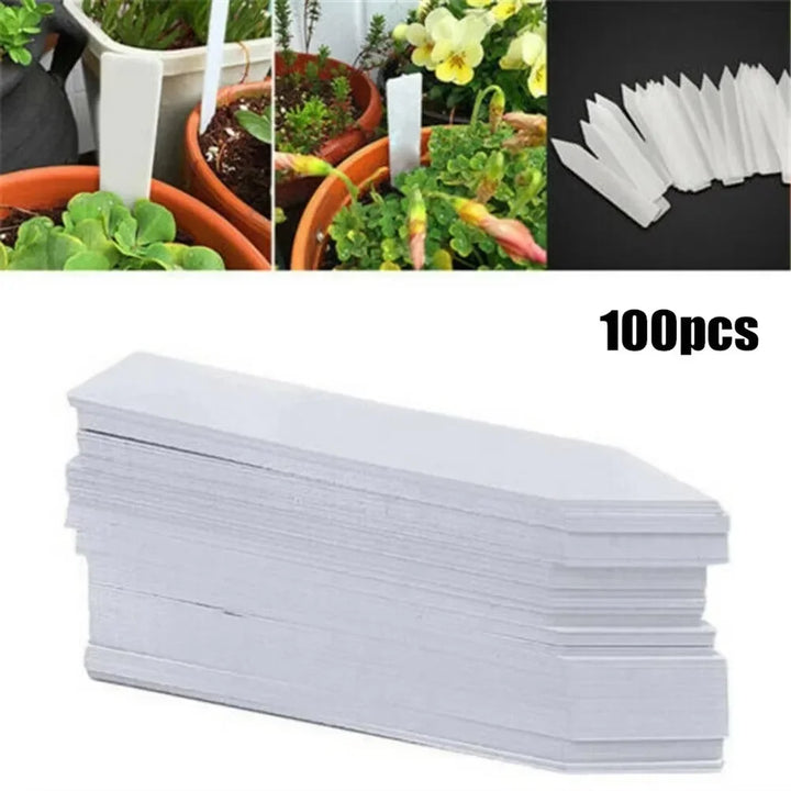 100-Pack White Plant Labels