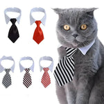 Adjustable Pet Collar & Necktie