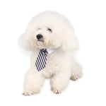 Adjustable Pet Collar & Necktie