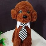 Adjustable Pet Collar & Necktie