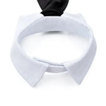 Adjustable Pet Collar & Necktie