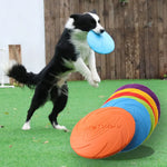 Disco volante per cani — 15cm, 18cm o 22cm
