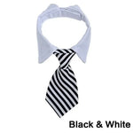 Adjustable Pet Collar & Necktie