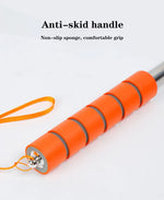 Telescopic Car Mirror Squeegee