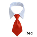 Adjustable Pet Collar & Necktie