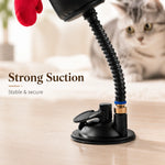 Interactive Cat Boxing Toy