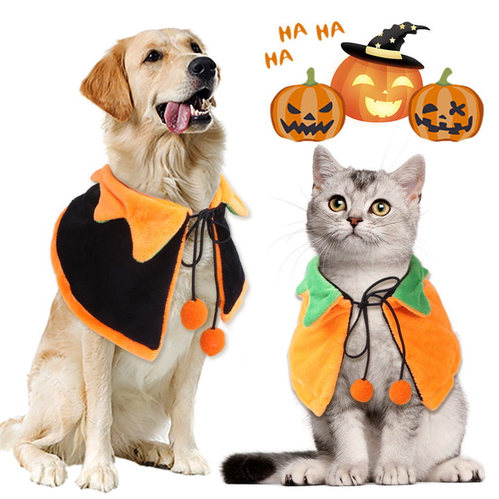 Halloween-kappe for kjæledyr med gresskarmotiv