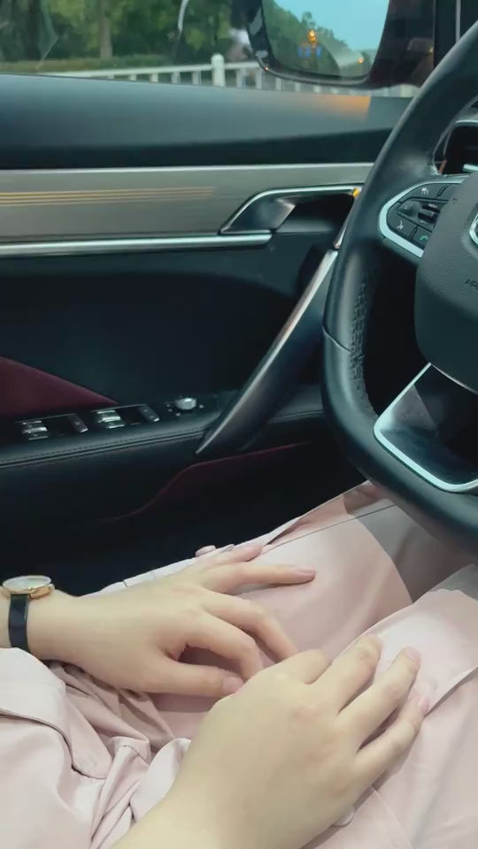 e6ef6b18-e80e-4718-871a-41e3dff6e2d0-车载充电.mp4